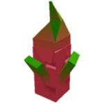 Dragon Fruit Seed
