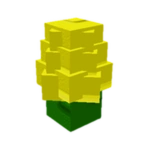 Corn Seed